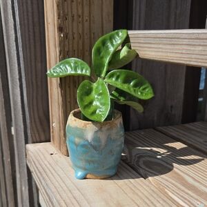 Handmade Glazed Ceramic Pottery 2.5" Vase Planter